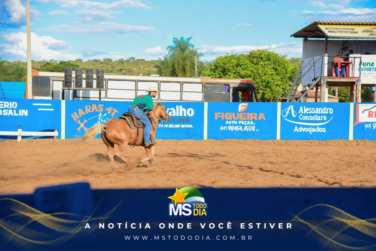 Imagem da Galeria